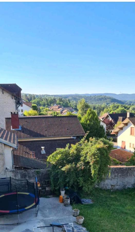 Le Nid Pres Du Lac Clairvaux-les-Lacs Eksteriør bilde
